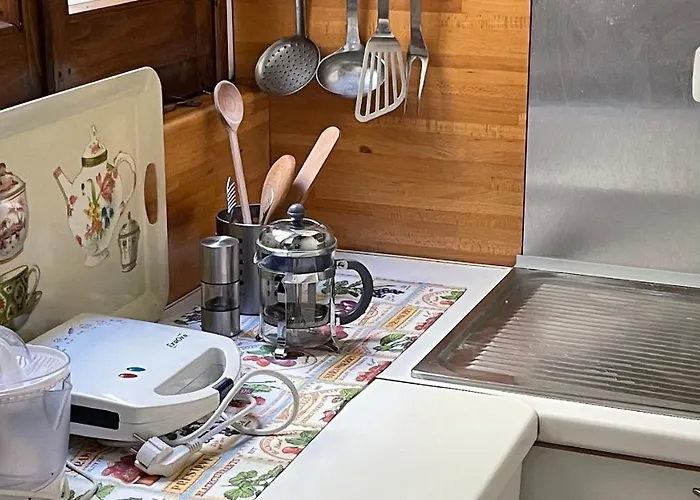 Discovering Floransa